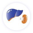 Extravascular hemolysis Icon